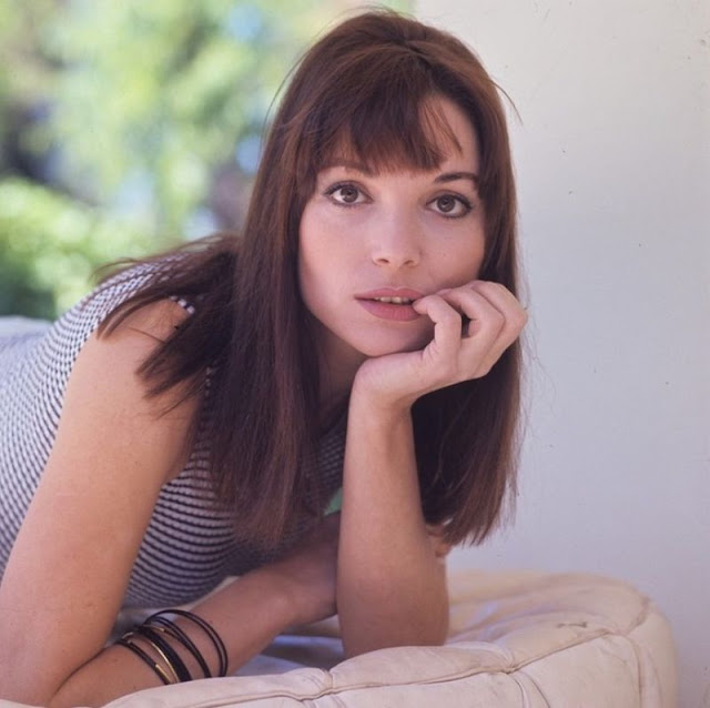 Elsa Martinelli: A Timeless Symbol of Italian Glamour