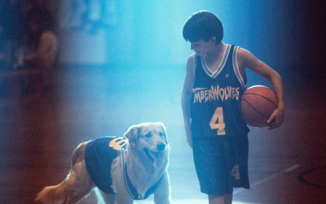 Missouri’s redistricting drama renews focus on direct democracy … and ‘Air Bud’