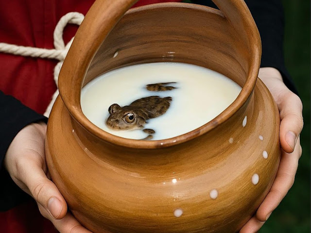 When Frogs Saved the Milk: A Russian-Finnish Tradition Backed by Science