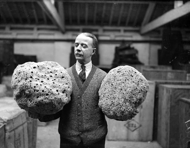 Amazing Photographs of People Posing With Giant Sponges in the Early 20th Century