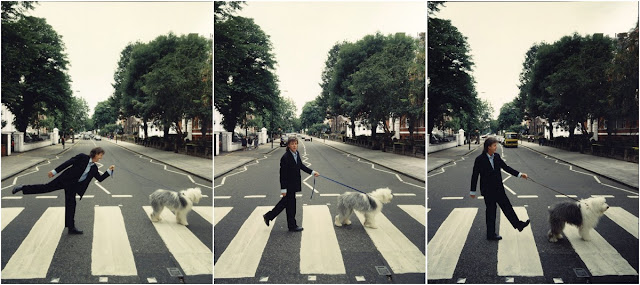 Paul McCartney and Dog Arrow on the Abbey Road Crossing for the “Paul Is Live” Album Cover Photoshoot, 1993