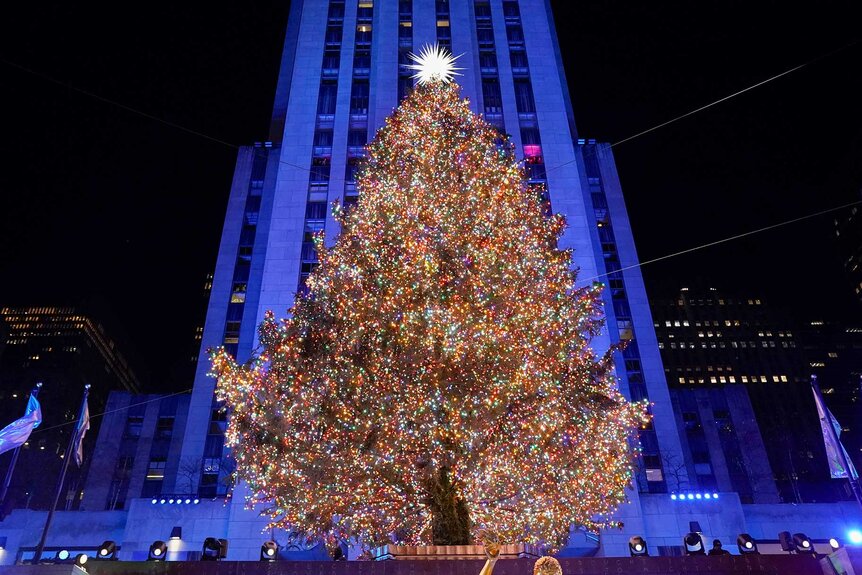 What Happens to the Rockefeller Center Christmas Tree When It’s Taken Down?